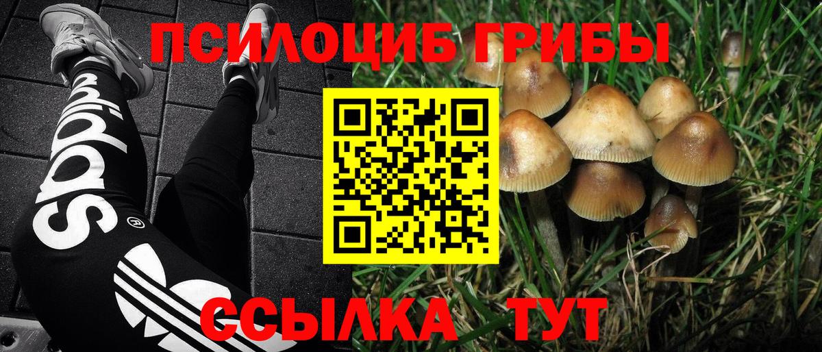 Псилоцибиновые грибы Psilocybe  Вход с VPN  где можно купить наркотик  Усть-Джегута 