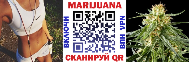 Конопля OG Kush  OMG   Усть-Джегута 